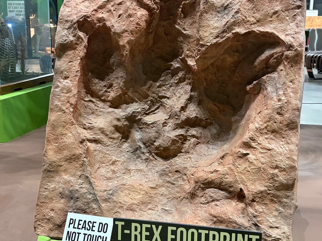 Indiana Dinosaur Museum-南本德必去景点