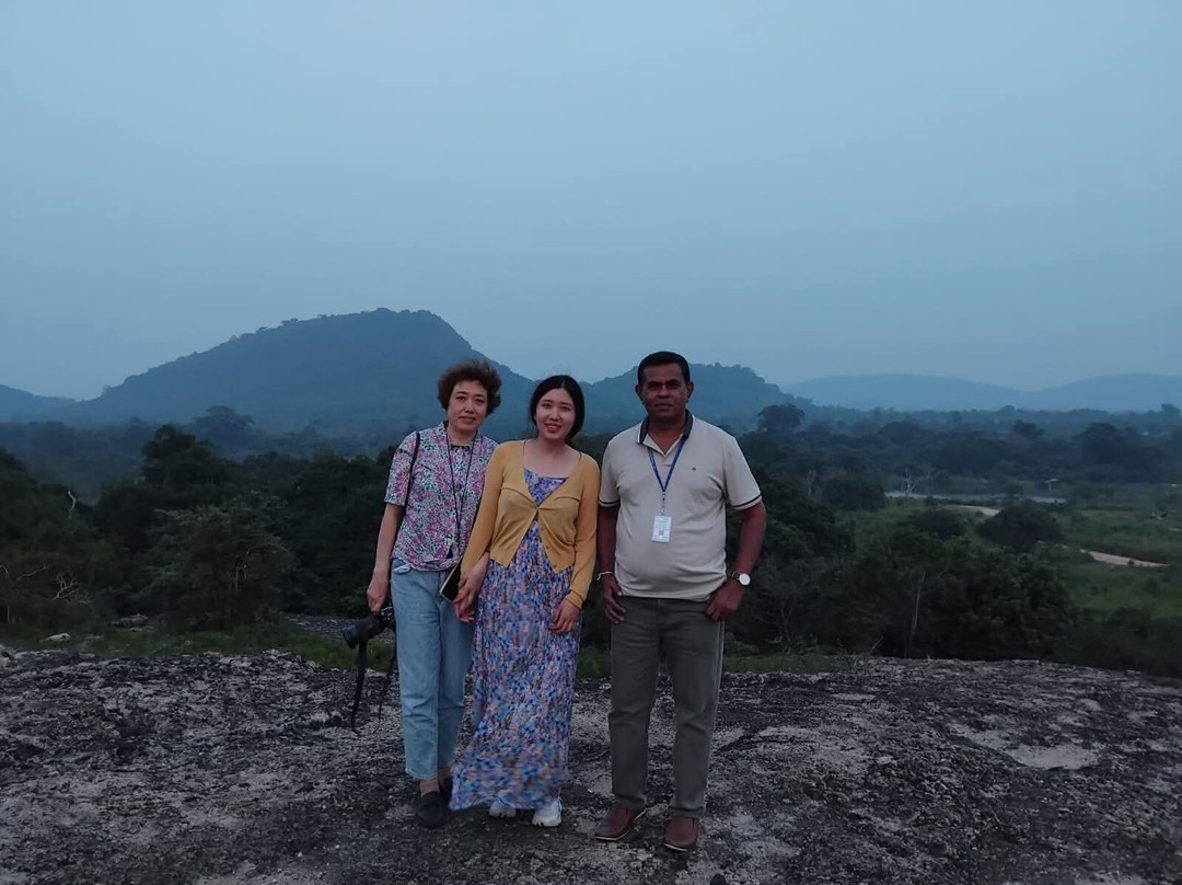 Revival Ceylon Tours