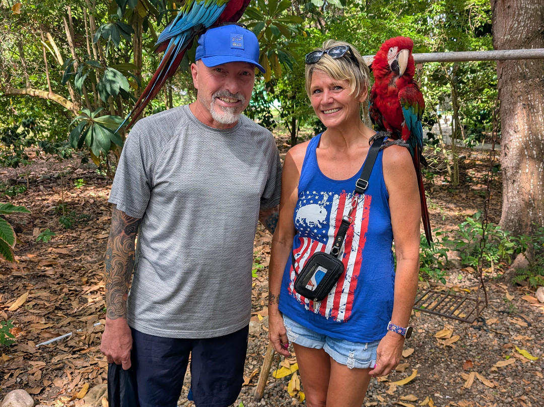 Monkey Home Puerto Plata-普拉塔港必去景点