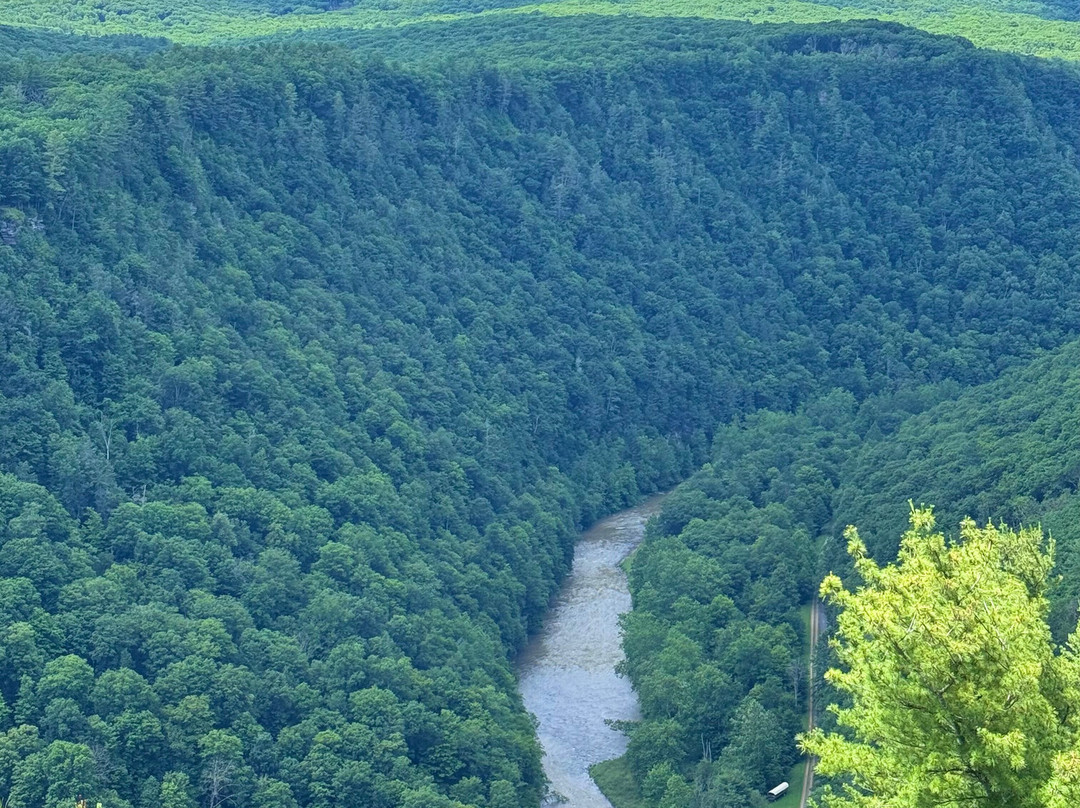 Cedar Run Inn主图