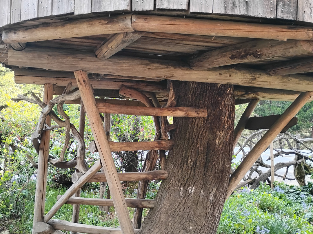 Its a Burl-Kerby必去景点