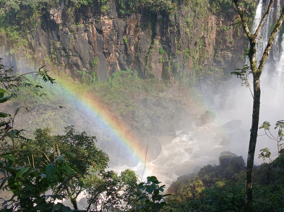 Cataratas del Iguazu - Lado Argentino-伊瓜苏港必去景点