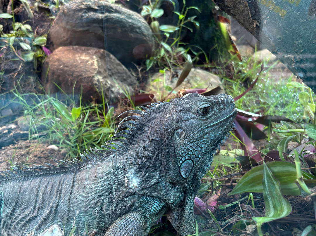 Ubatuba Aquarium-乌巴图巴必去景点