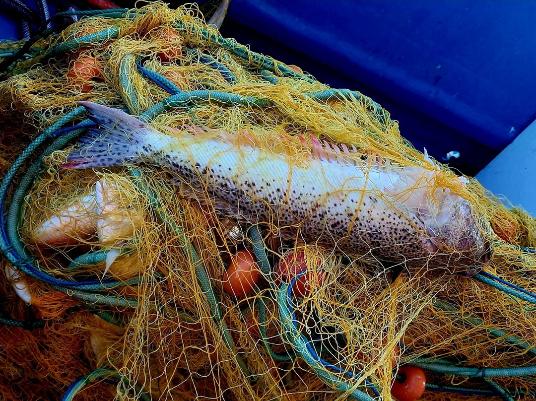 Kefalonia Fishing Trip GRECOS-Pesada必去景点