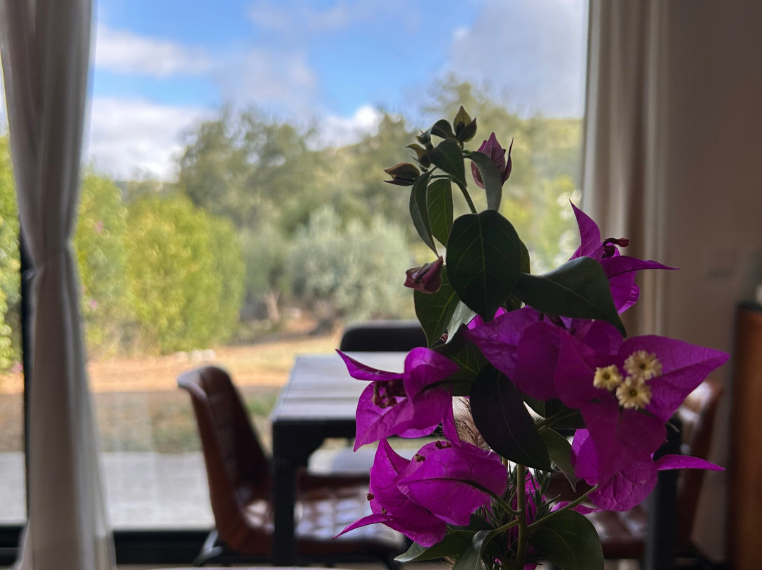 Casa Boho - Turismo Rural主图