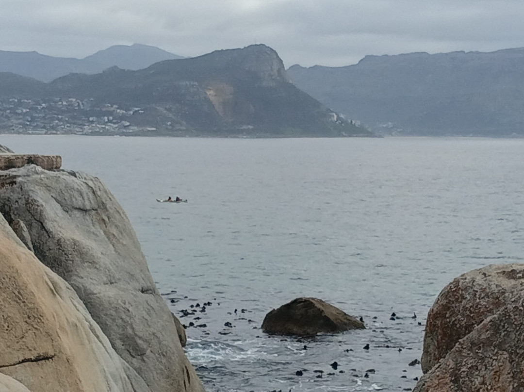 Boulders Beach Penguin Colony-西门镇必去景点