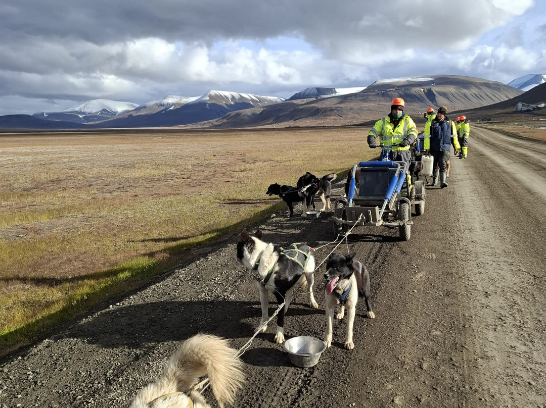 Green Dog Svalbard-朗伊尔城必去景点