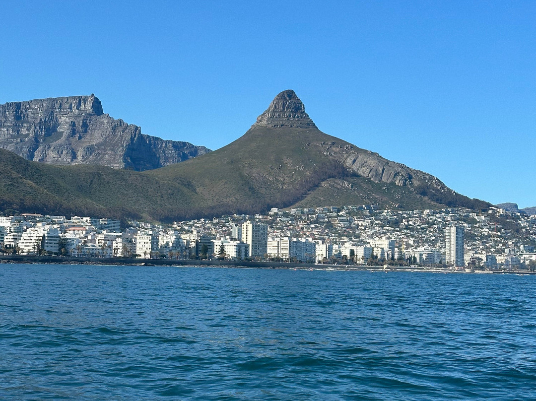 Paddle Experience: Kayak in Cape Town-西门镇必去景点