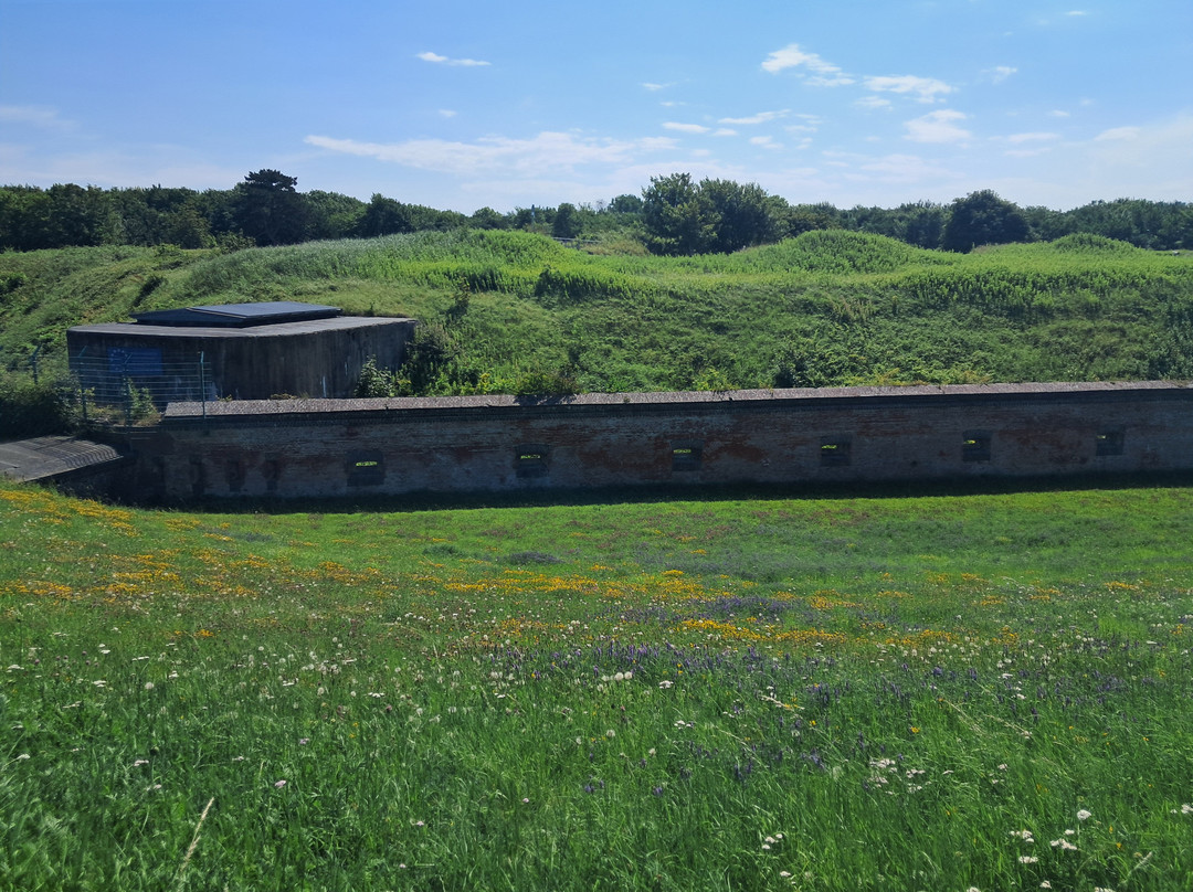 Fort Kugelbake-库克斯港县必去景点