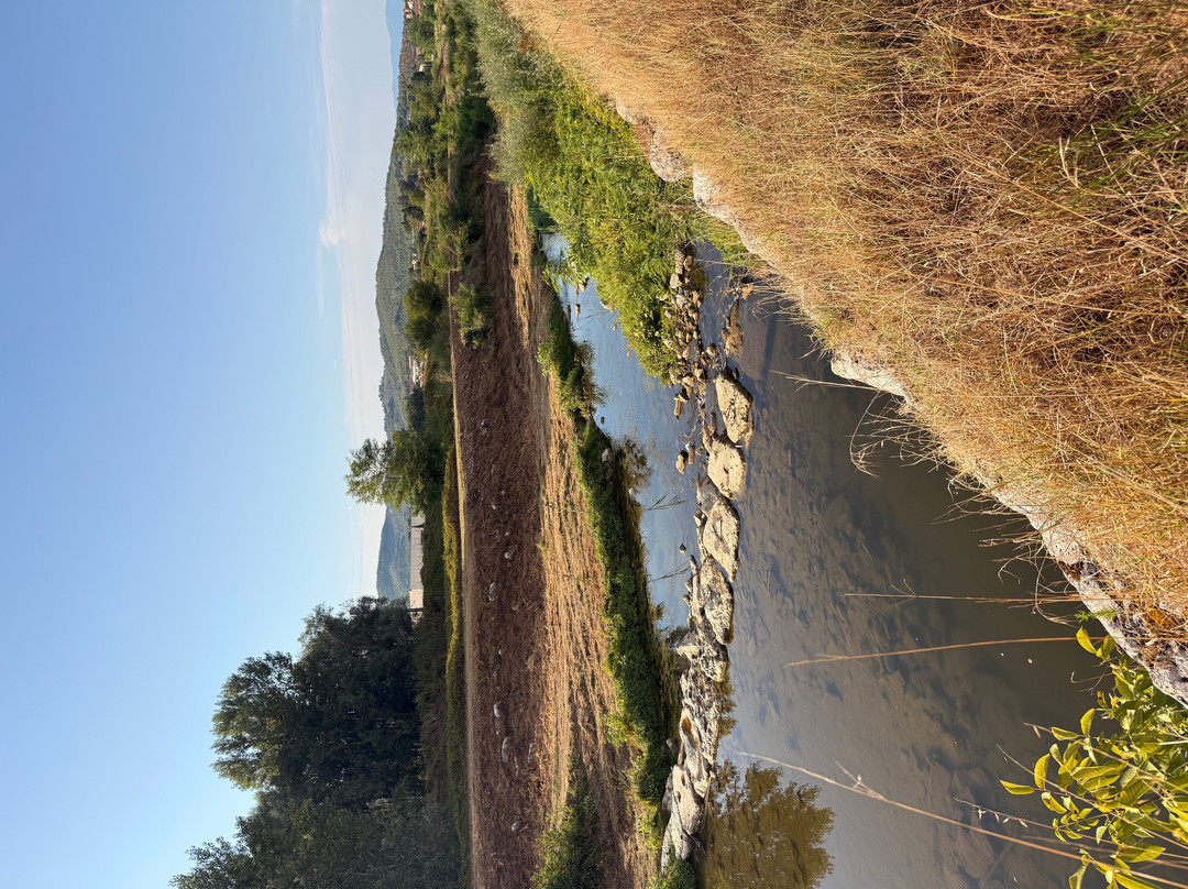 Agriturismo Casa Bistino主图