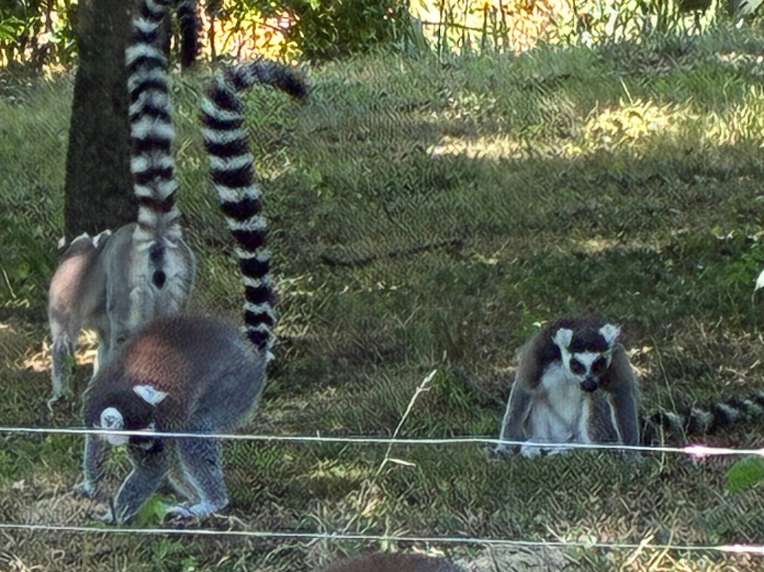 Parc Des Oiseaux-Villars-les-Dombes必去景点