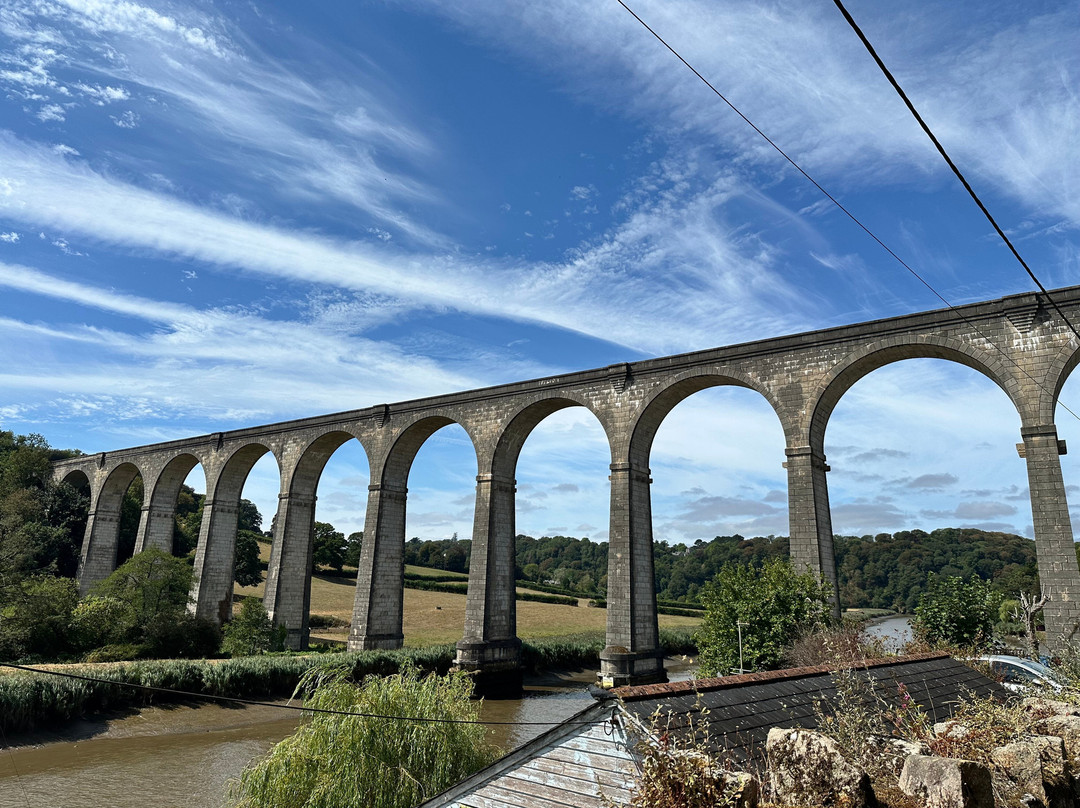 The Tamar Valley Line-Calstock必去景点