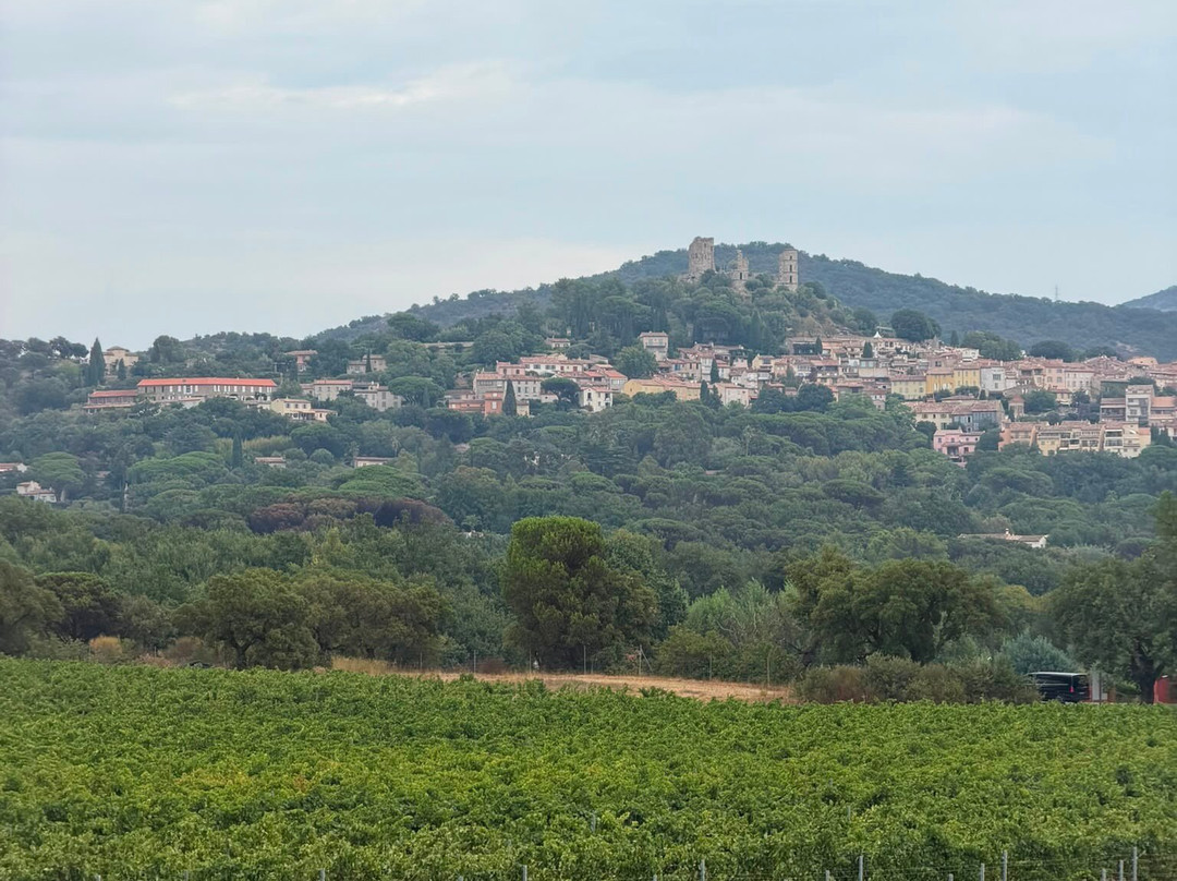 Château Saint-Maur Cru Classé-Cogolin必去景点