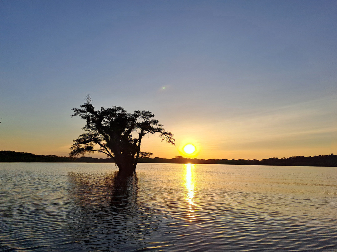 Cuyabeno Dolphin Lodge-Cuyabeno Wildlife Reserve必去景点