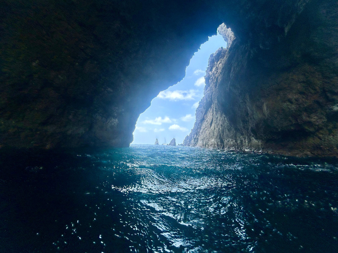 Sea Saba Dive Center-Windwardside必去景点