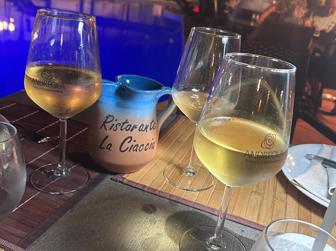 西亚克西亚住宅酒店主图