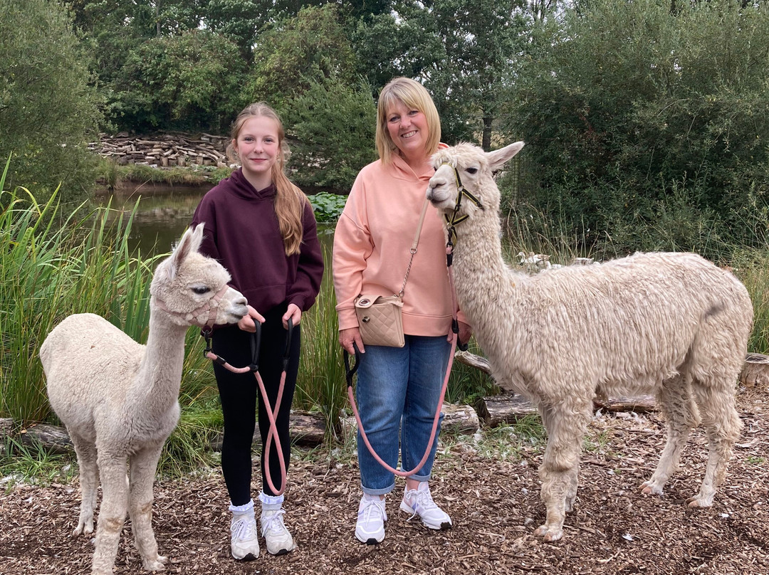 Nanny Sharon's Alpaca Farm C.I.C-Prenton必去景点