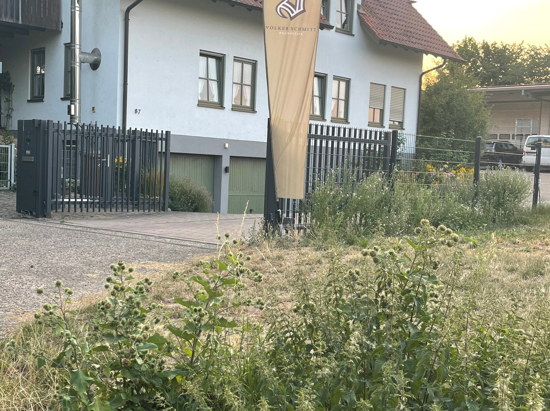 Weingut und Gästehaus Volker Schmitt主图