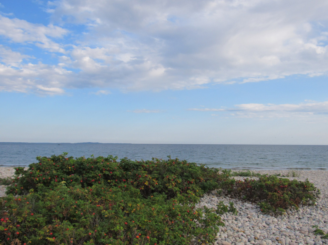 Allens Pond Wildlife Sanctuary-Westport必去景点