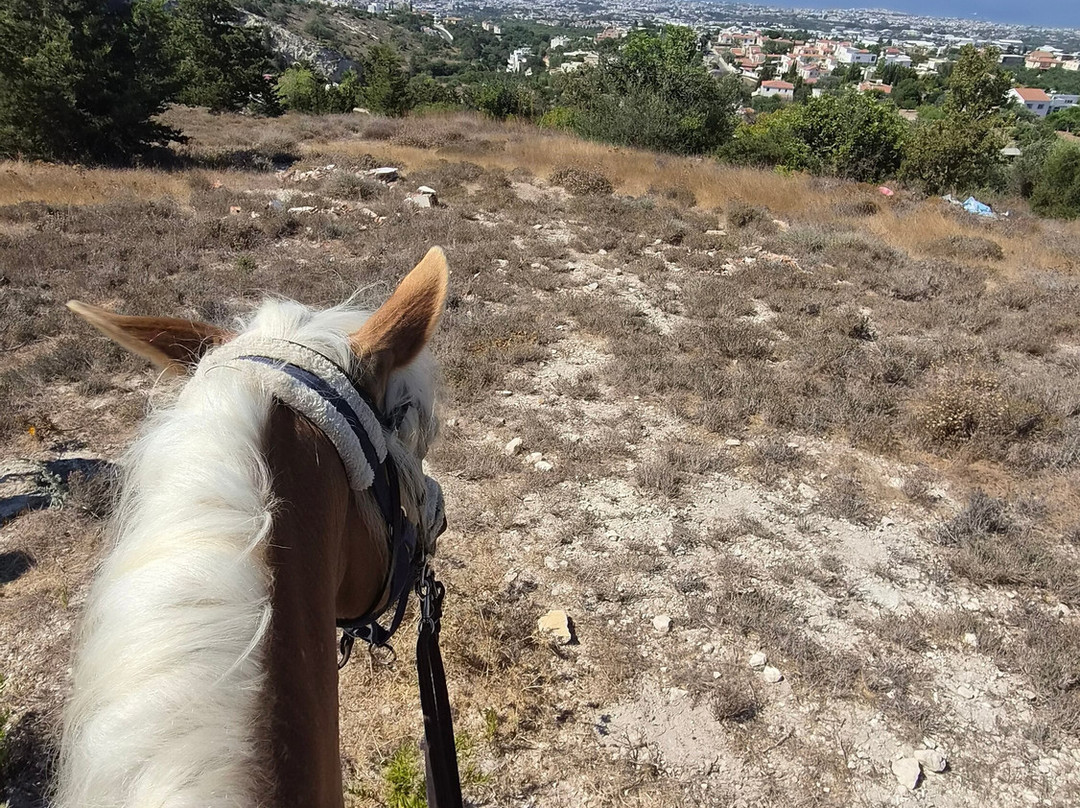 Horse Riding Paphos - Eagle Mountain Ranch-帕福斯必去景点