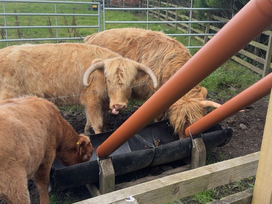 Craigbank Farm-Kilmarnock必去景点