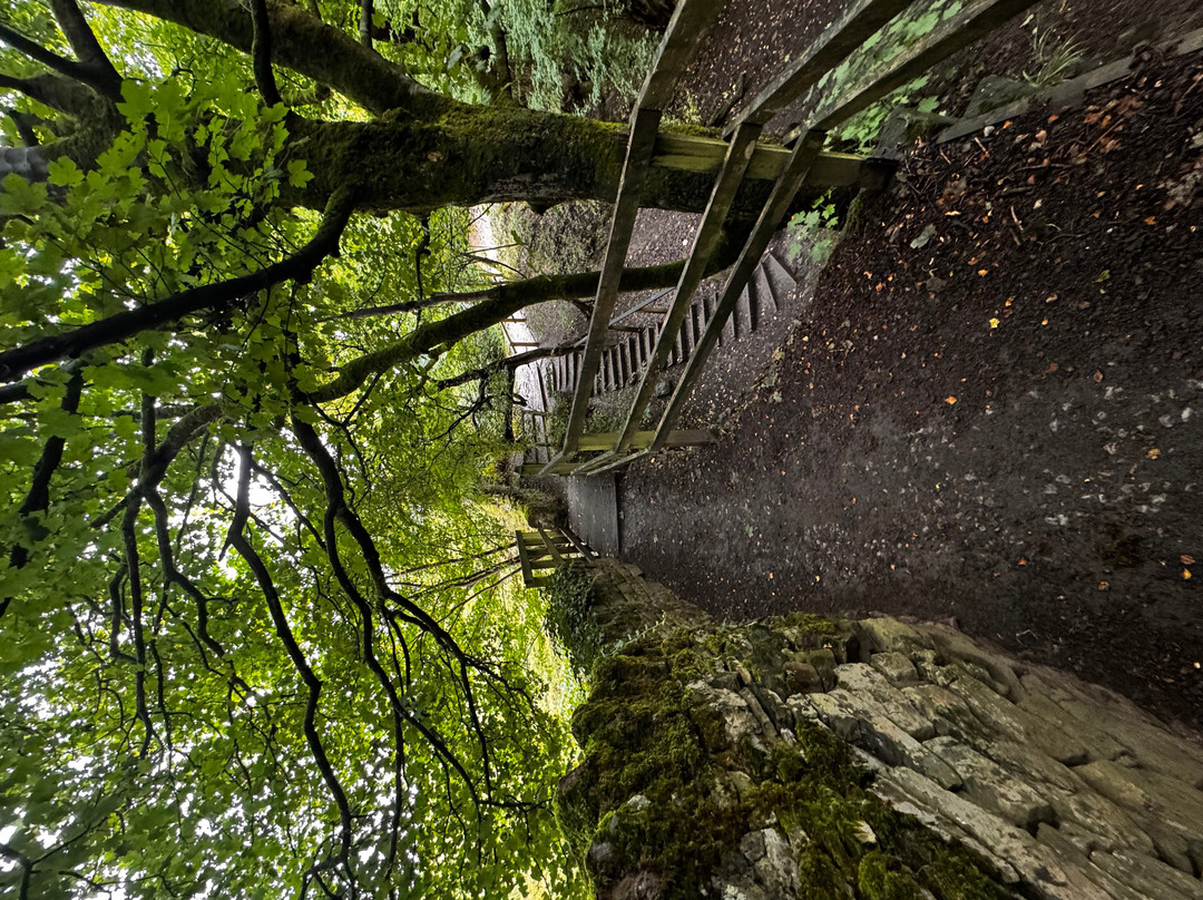 Skipton Castle Woods-斯基普顿必去景点