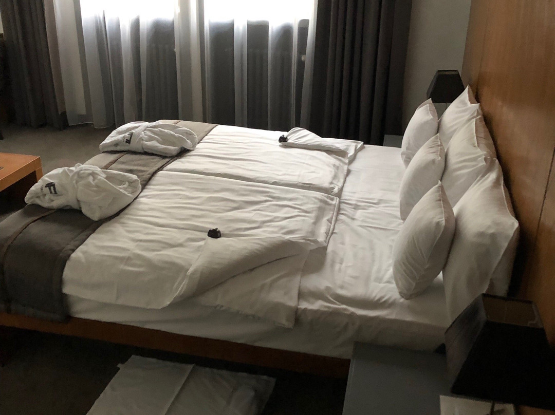 阿尔布雷希特酒店主图