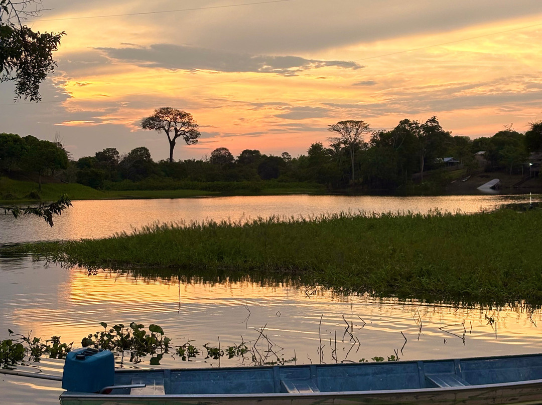 Amazon Green Tours-玛瑙斯必去景点