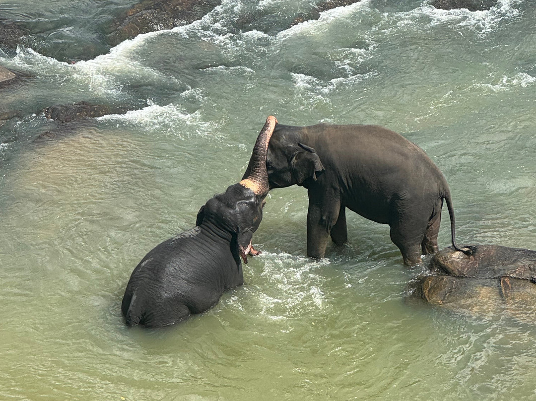Visit Sri Lanka Holidays-Rambukkana必去景点