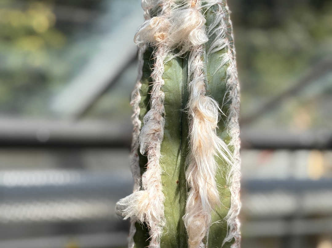 Botanical Garden-布拉迪斯拉发必去景点
