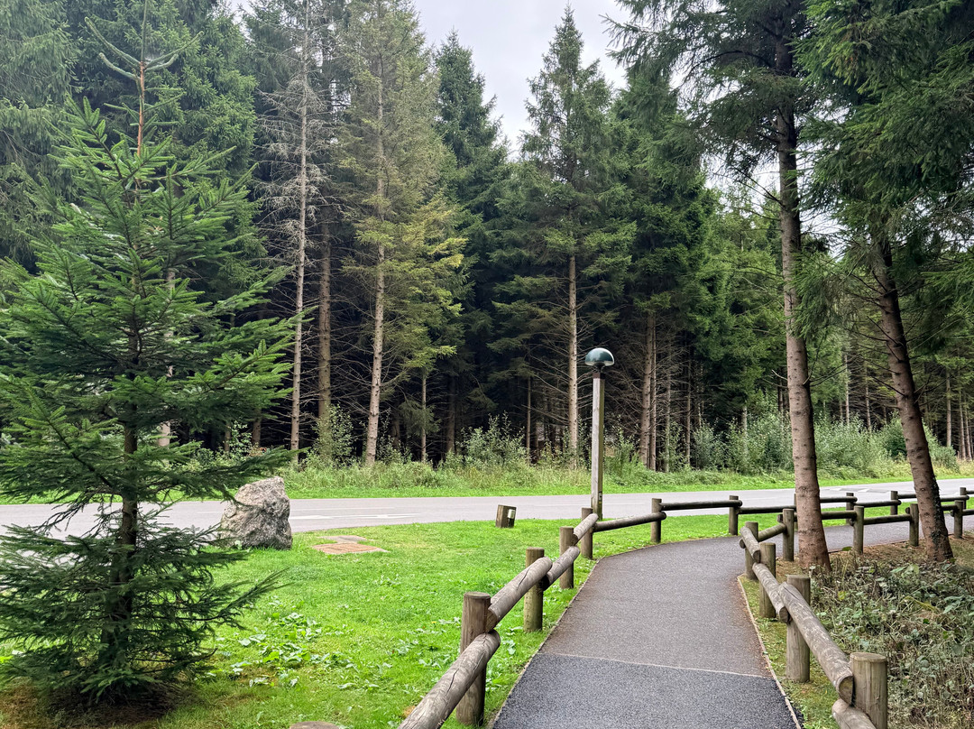Aqua Sana Forest Spa, Longford Forest-Ballymahon必去景点