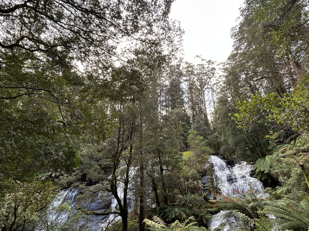 Triplet Falls-Beech Forest必去景点