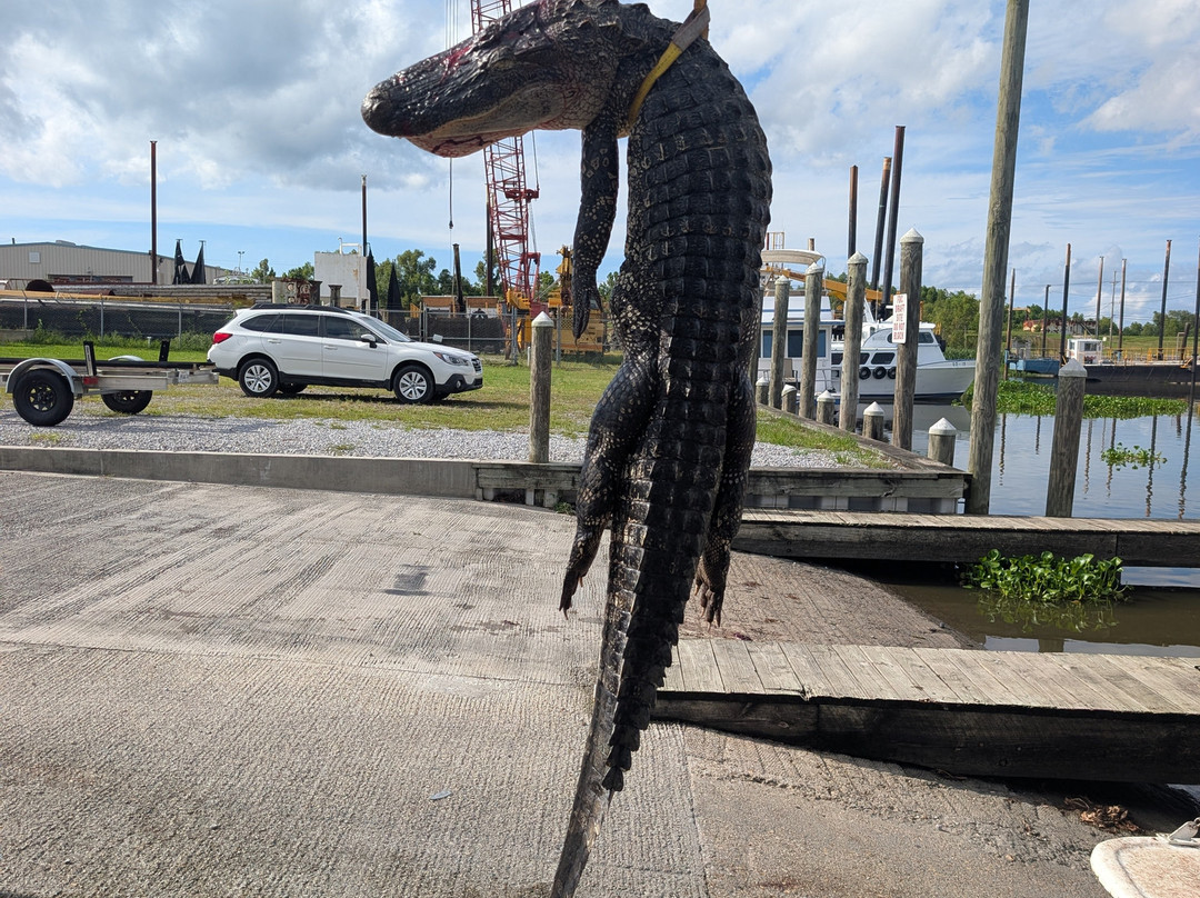 Louisiana Marsh Adventures-Braithwaite必去景点