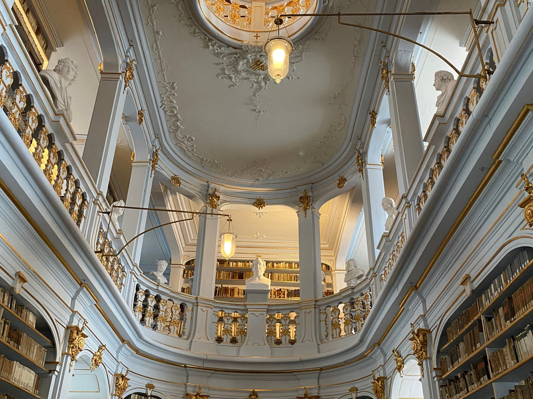 Duchess Anna Amalia Library-魏玛必去景点