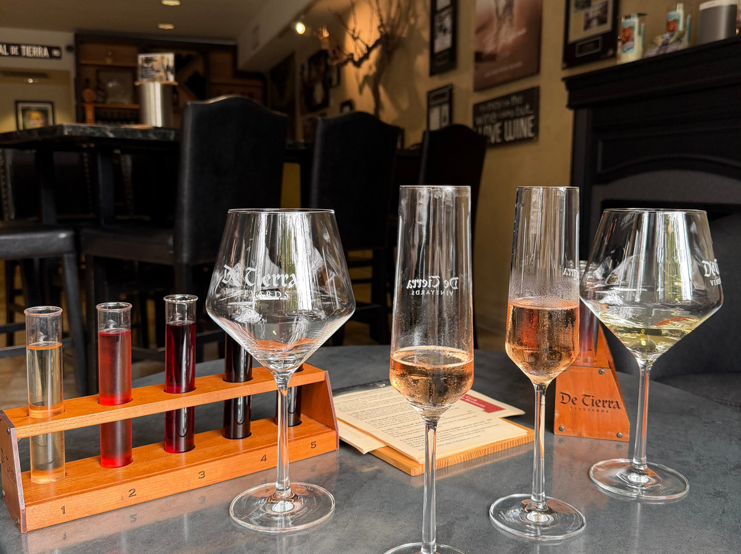 De Tierra Vineyards Tasting Room-卡梅尔必去景点