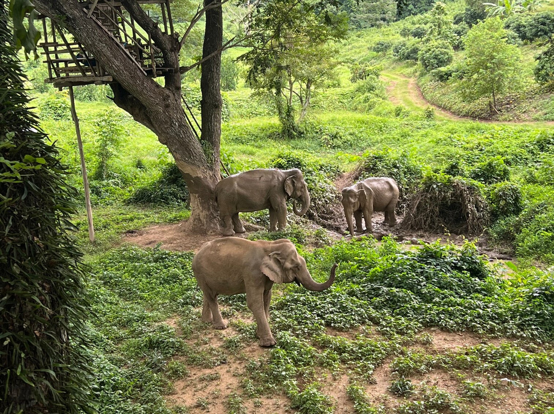 Boon Lott's Elephant Sanctuary-素可泰必去景点