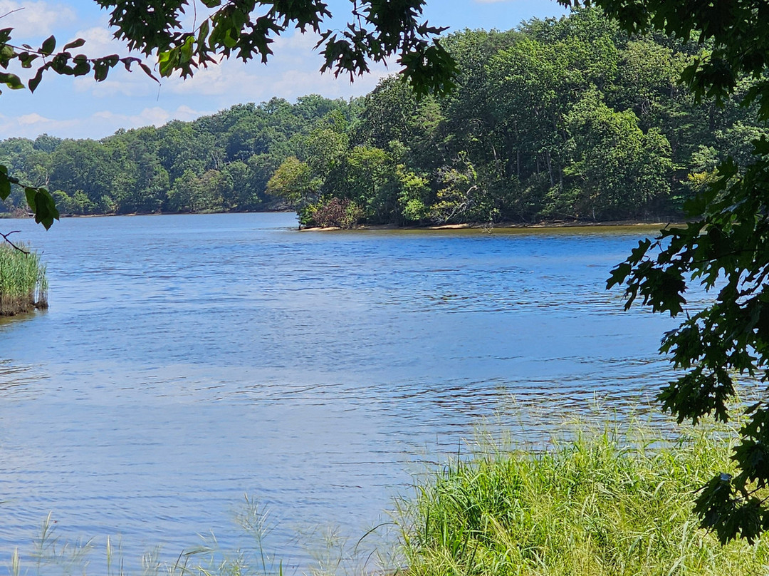 Bohemia RIver-Earleville必去景点