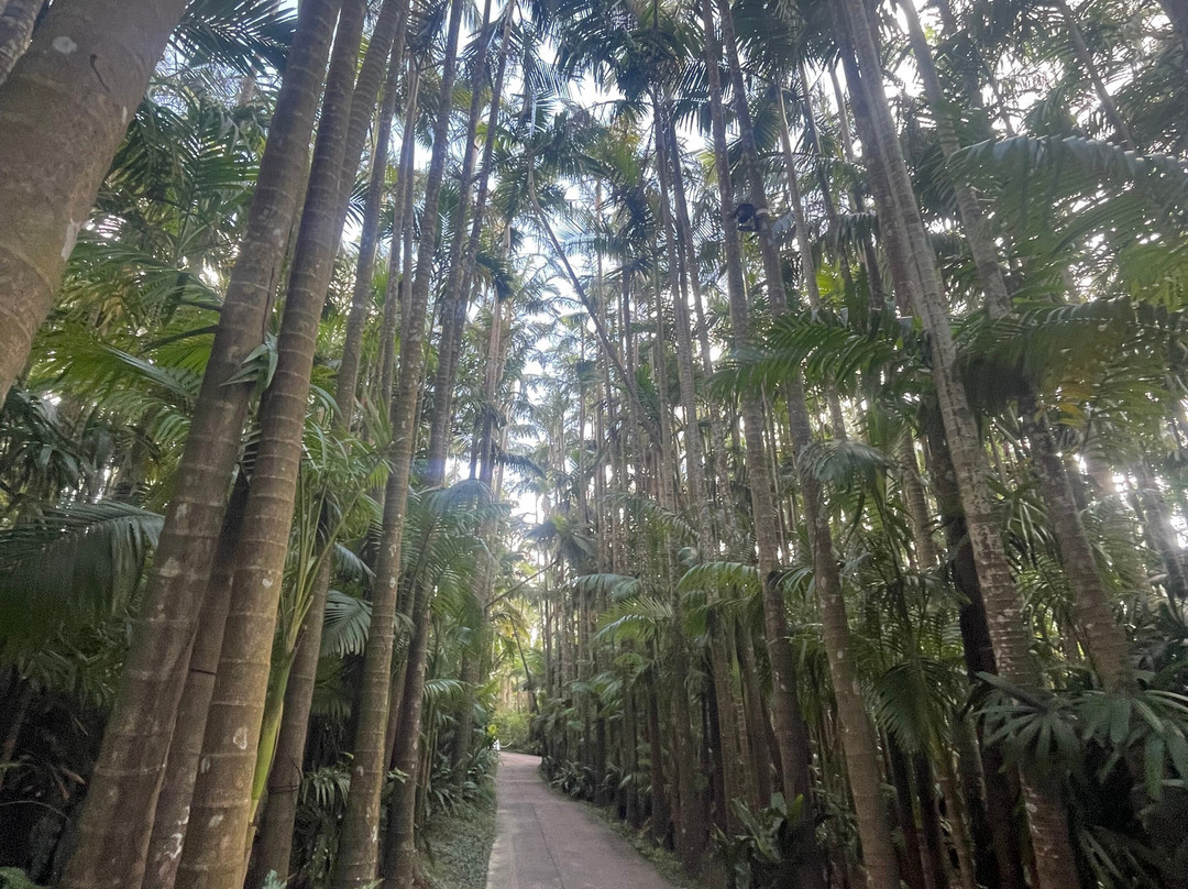 东南植物乐园-冲绳市必去景点