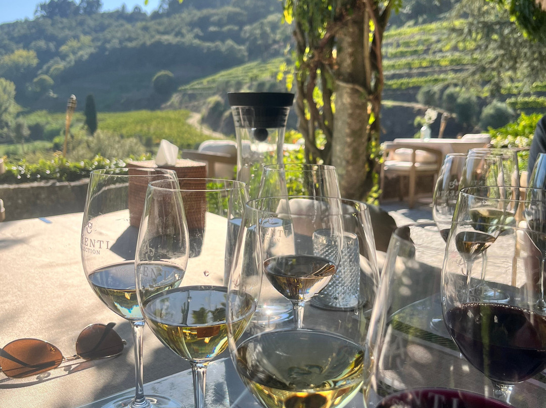 Quinta de Covela-Baiao必去景点