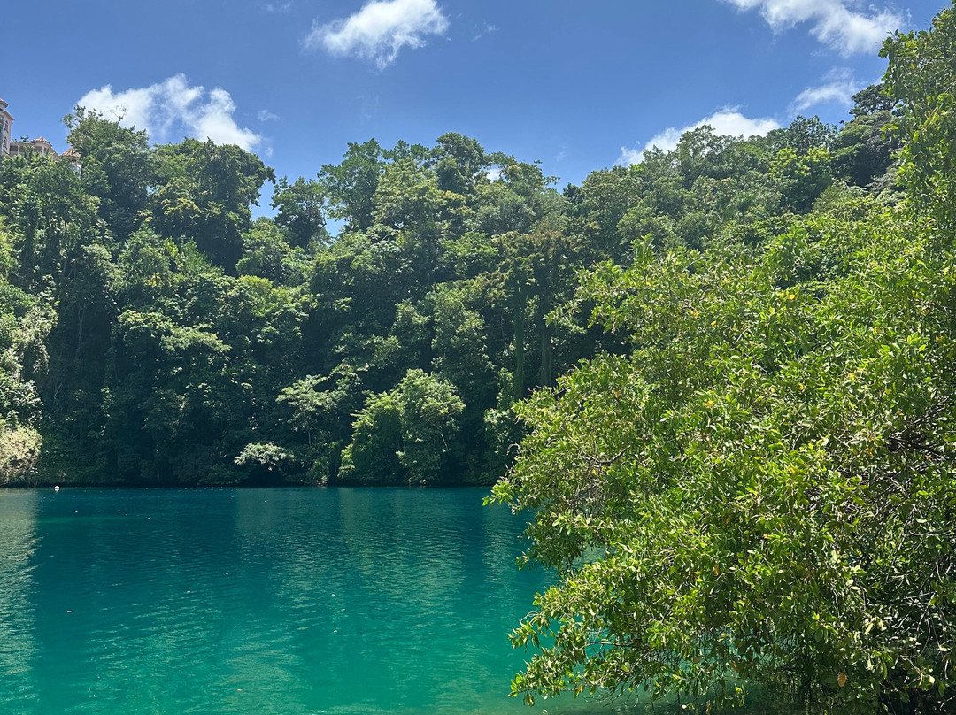 Travel Jamaica Tours-奥乔里奥斯必去景点