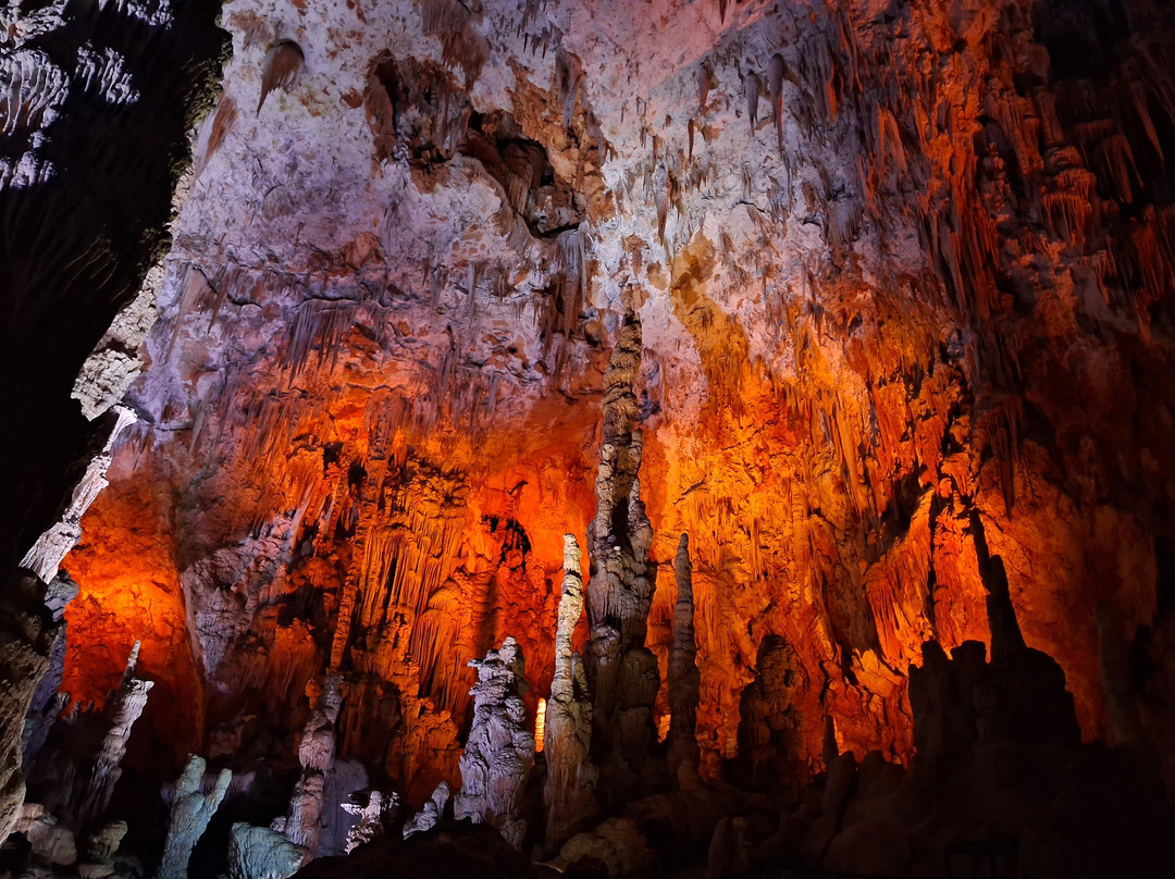 Grotte de la Salamandre-Mejannes-le-Clap必去景点