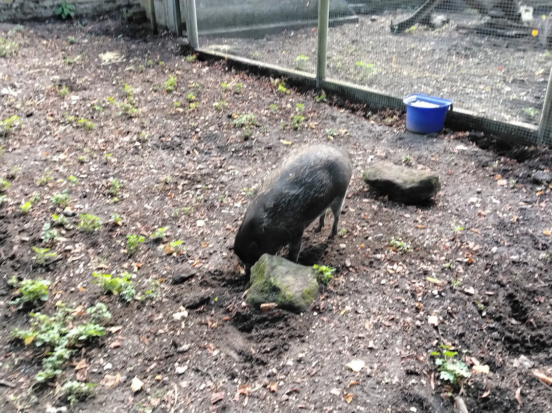 Thrigby Hall Wildlife Gardens-Filby必去景点