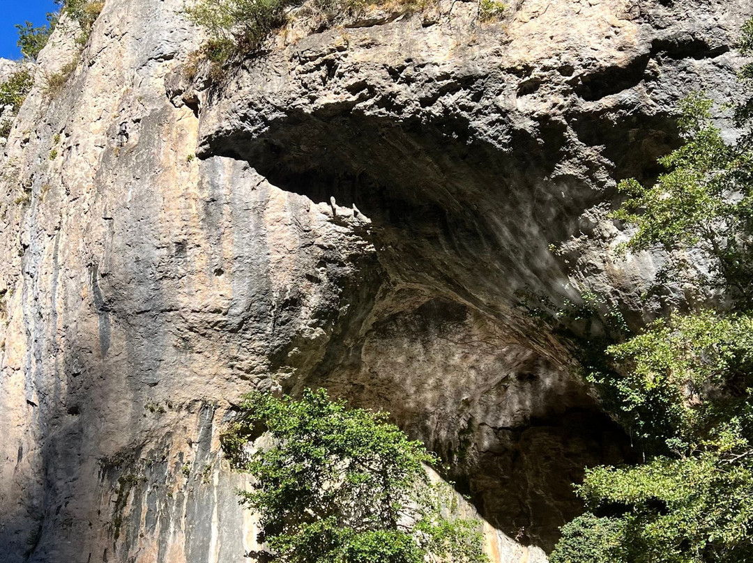 Les Bateliers des Gorges du Tarn-La Malene必去景点