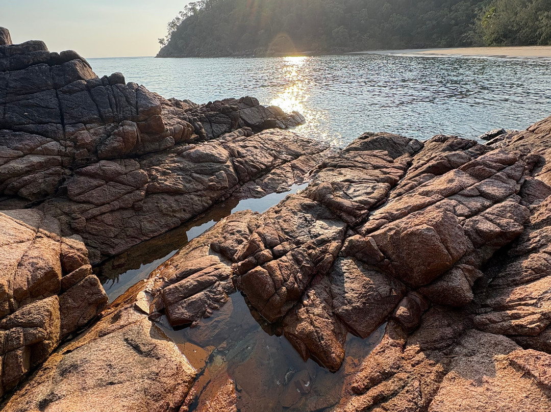Absolute North Charters-Hinchinbrook Island必去景点