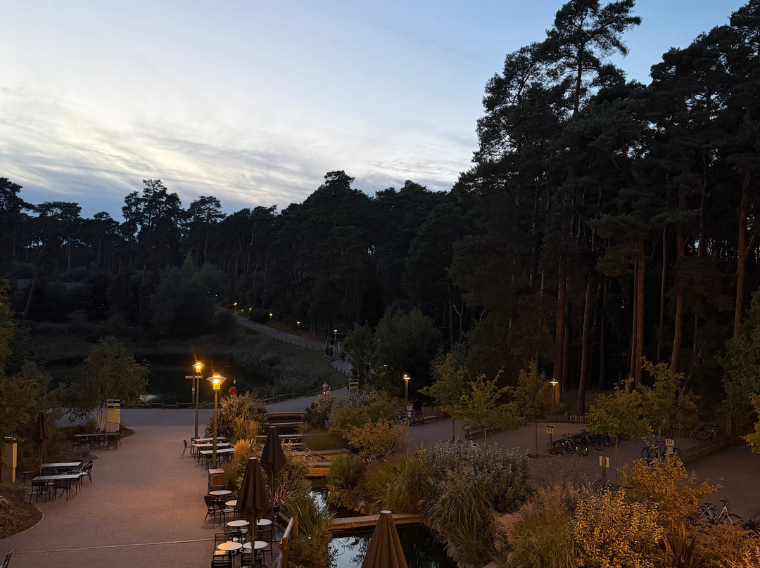 Center Parcs Woburn Forest主图