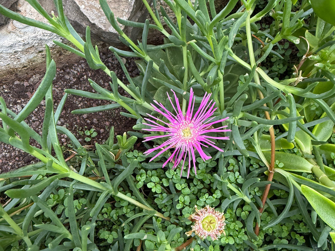 Palmiarnia Walbrzych-Walbrzych必去景点