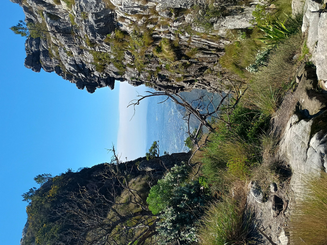 Table Mountain Walks-开普敦中心区必去景点