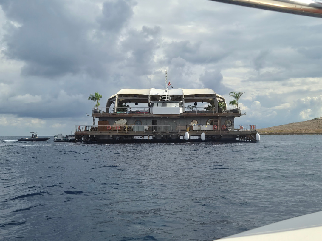 Noma Island-Marfa必去景点