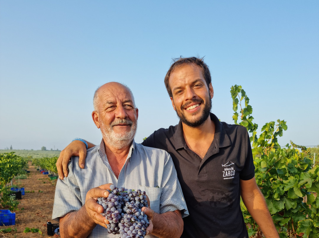 Bodega Dehesa del Zarco-Pilas必去景点