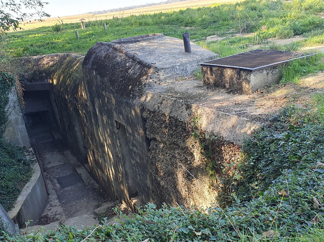 Hillman Site-Colleville-Montgomery必去景点